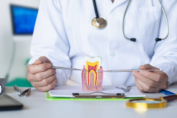 Best Emergency Dental Care for Abscessed Tooth in Rogersville, AL